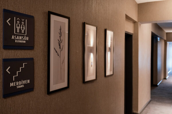 NafizYurekli_0000_NafizYürekli_UO_13 NafizYurekli_0000_NafizYürekli_UO_13