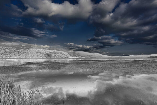 NafizYurekli_0014_lobibi-2 NafizYurekli_0014_lobibi-2