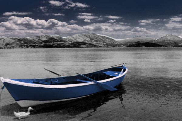 NafizYurekli_0015_lobi_04-scaled NafizYurekli_0015_lobi_04-scaled