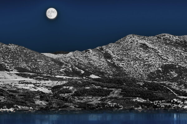 NafizYurekli_0016_lobi_02-scaled NafizYurekli_0016_lobi_02-scaled